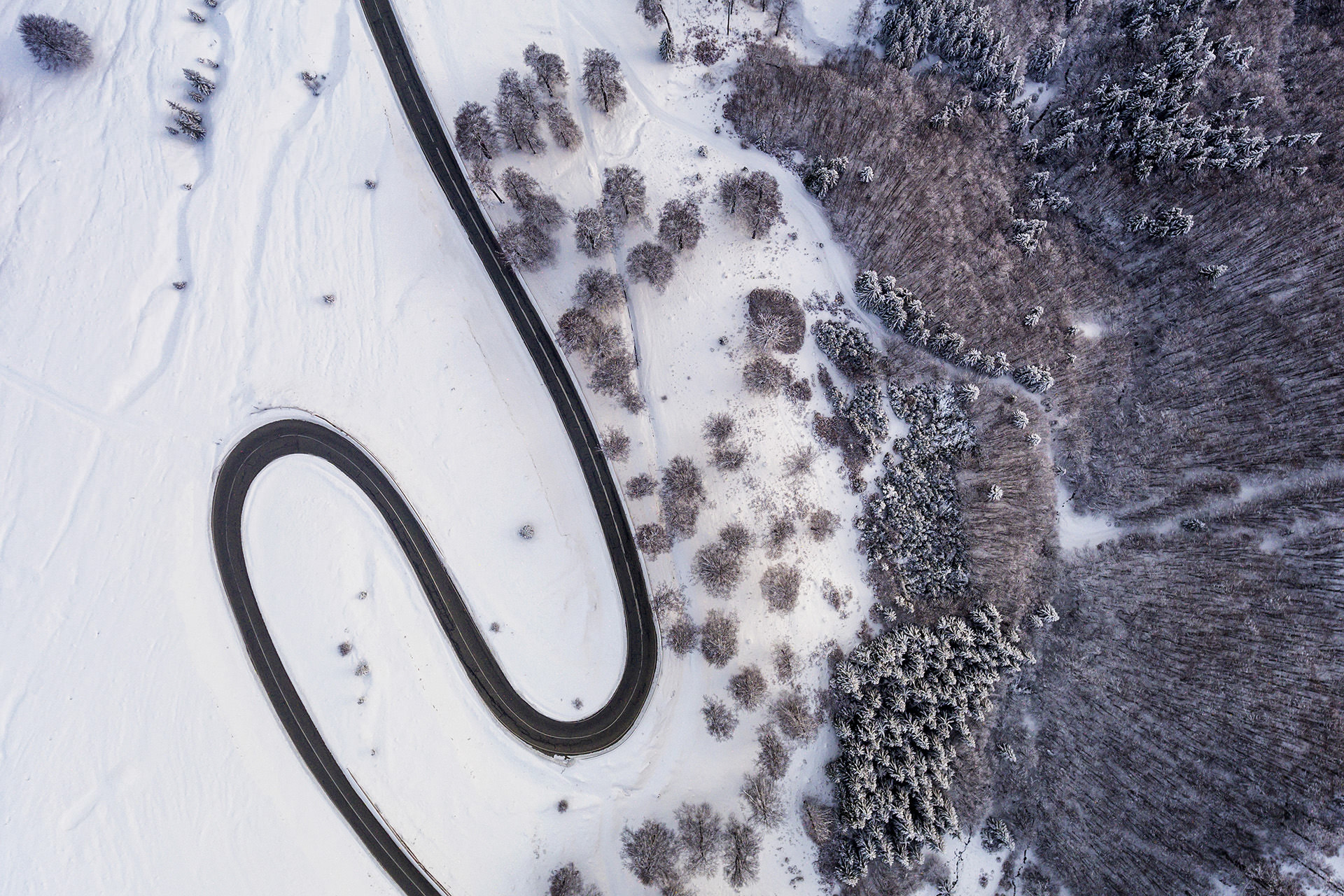 Transalpina Mountain Road - Amazing Drives of Romania 07