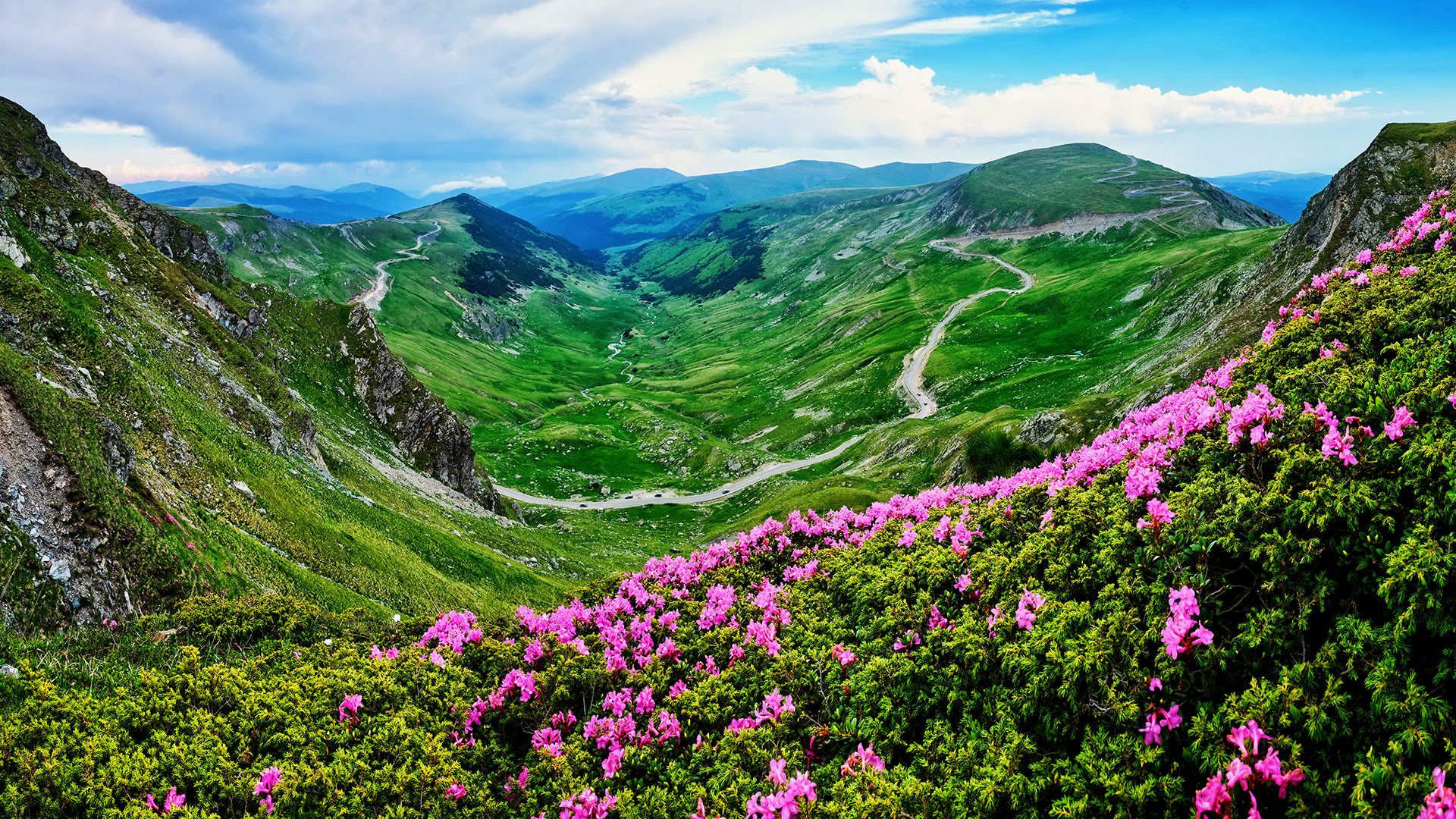 Transalpina Mountain Road - Amazing Drives of Romania 10
