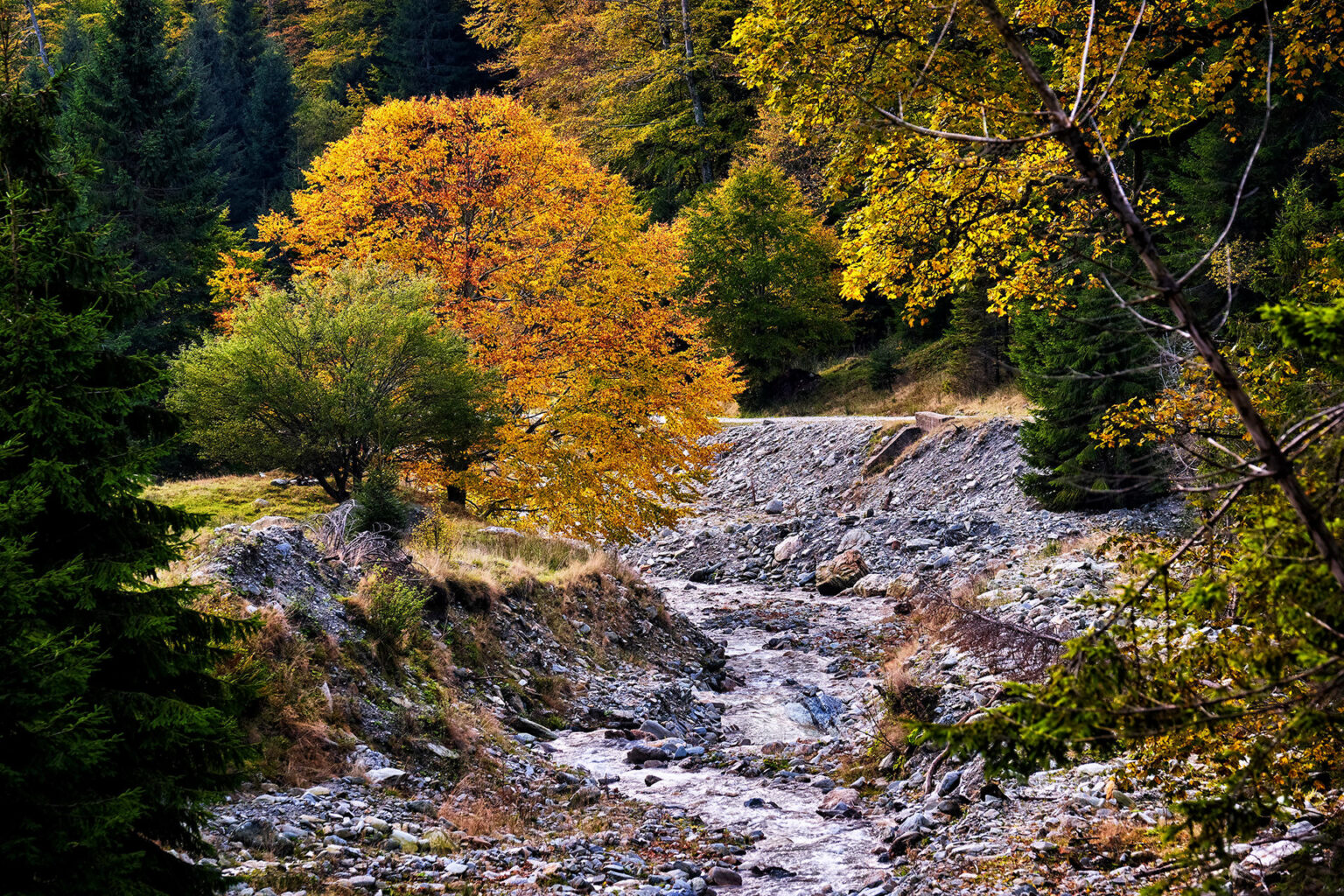 what-is-the-best-time-to-visit-romania-romaniaxtravel