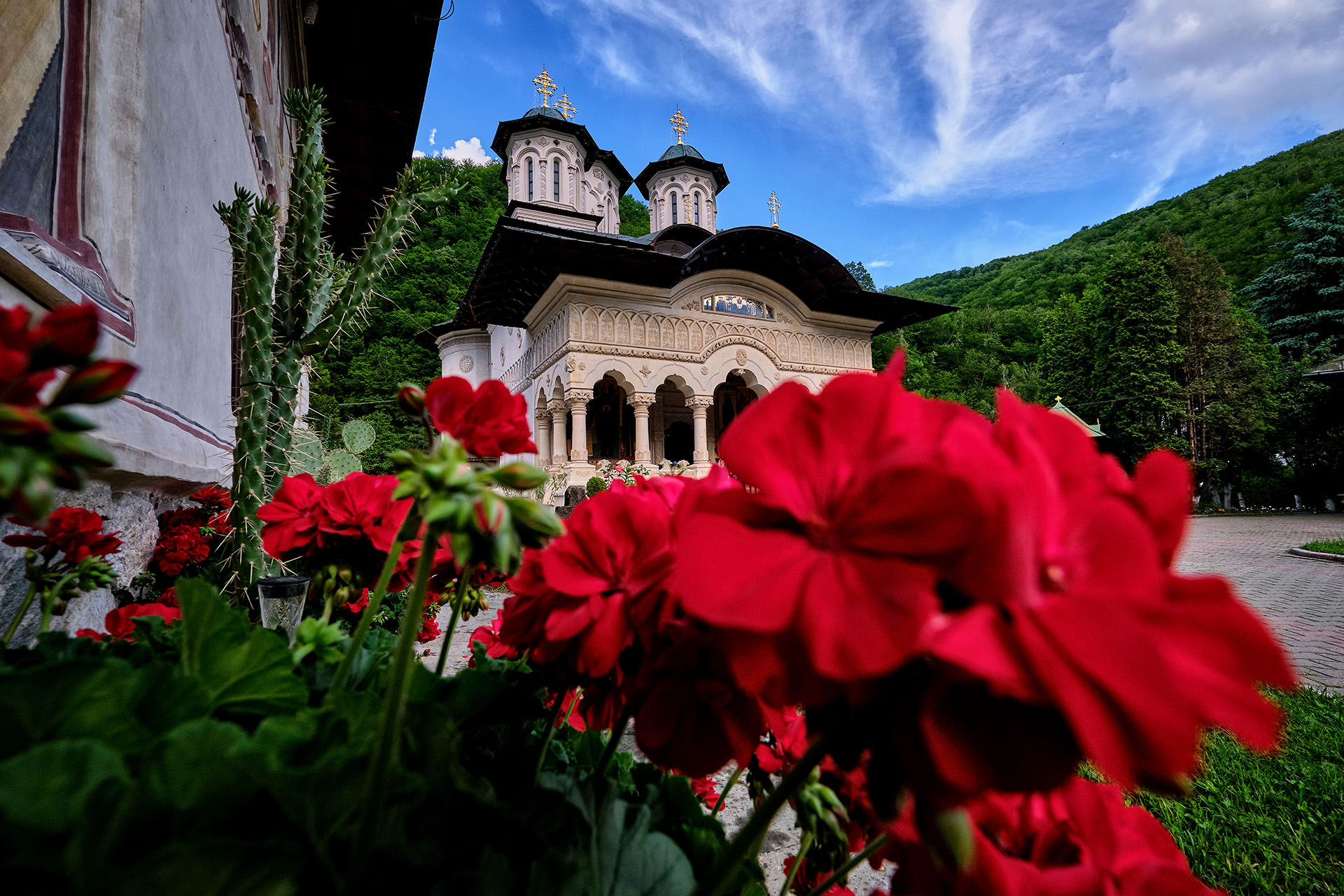 Lainici Monastery Romania 2
