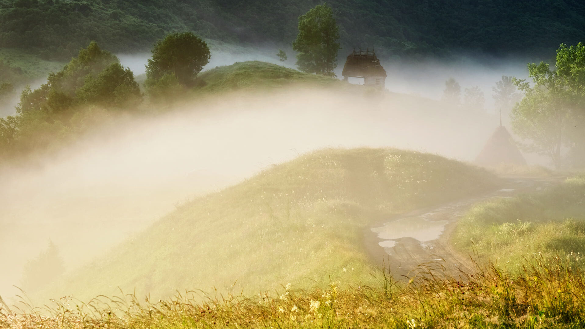 Dumesti Village - Magical Countryside of Romania