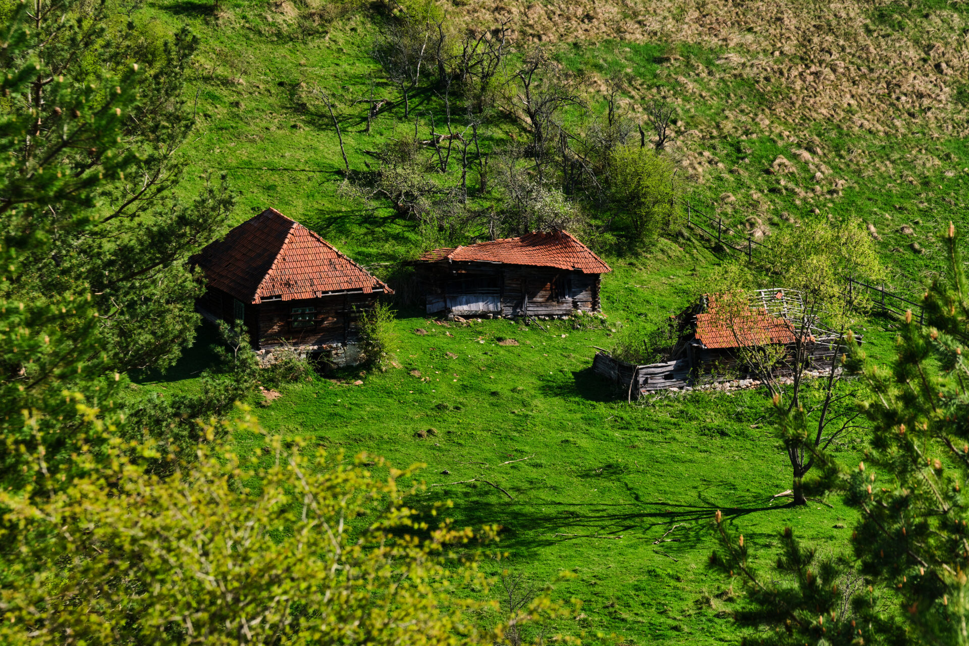 Fundatura Ponorici Romania 02