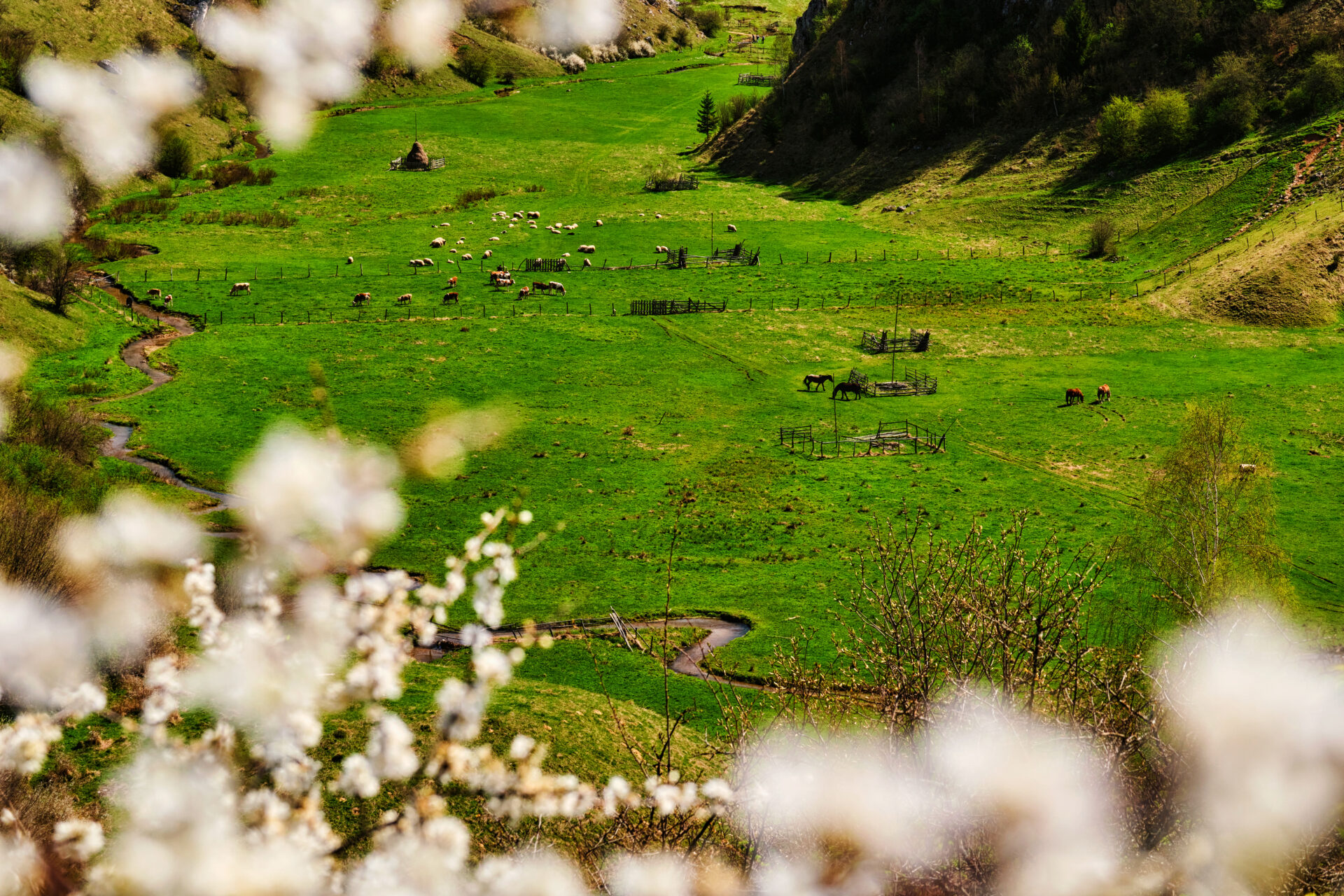 Village of Fundatura Ponorului in Romania