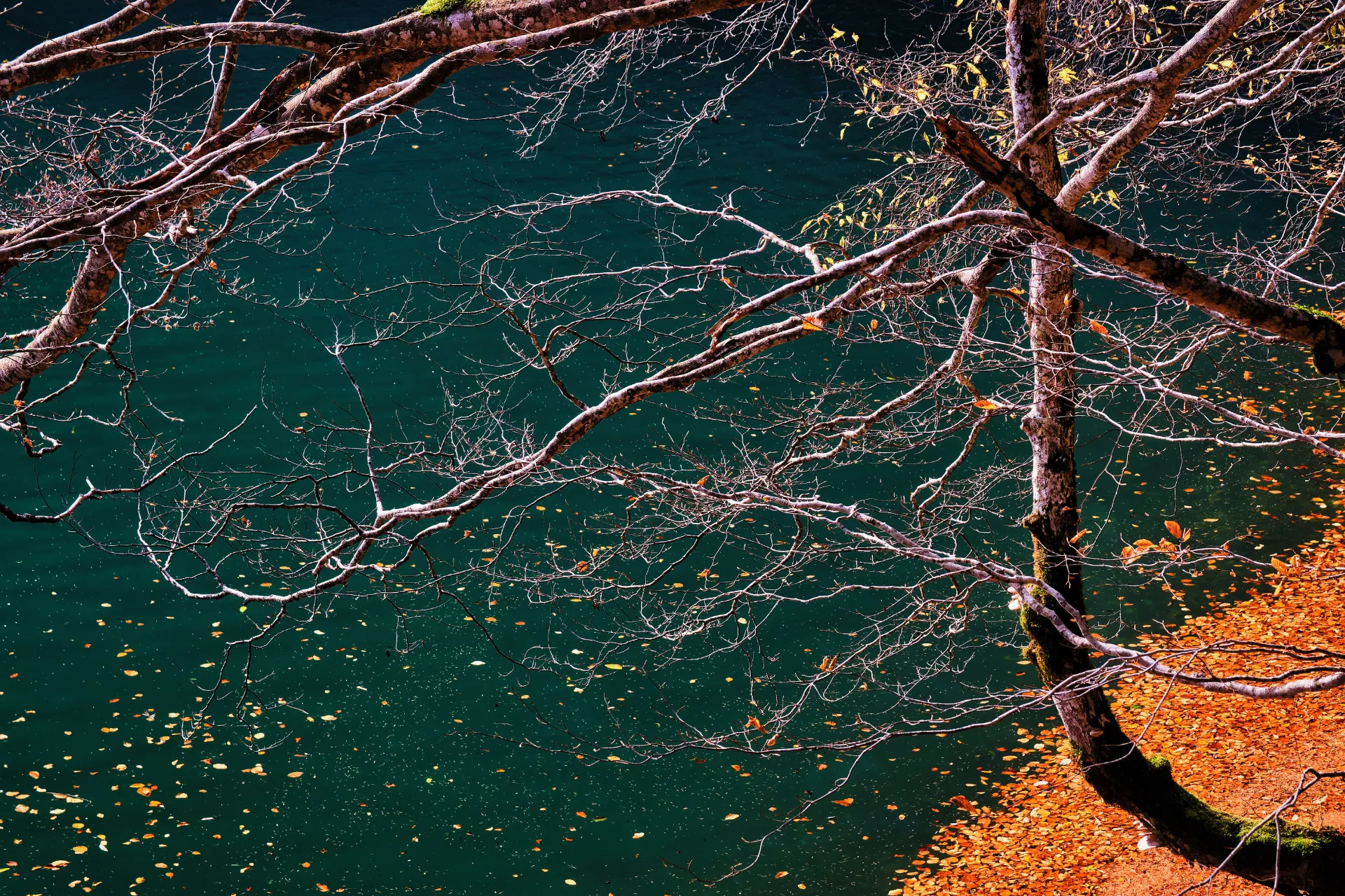 Bucegi Mountains - Wild Mountains of Romania 01 - Scopoasa Lake