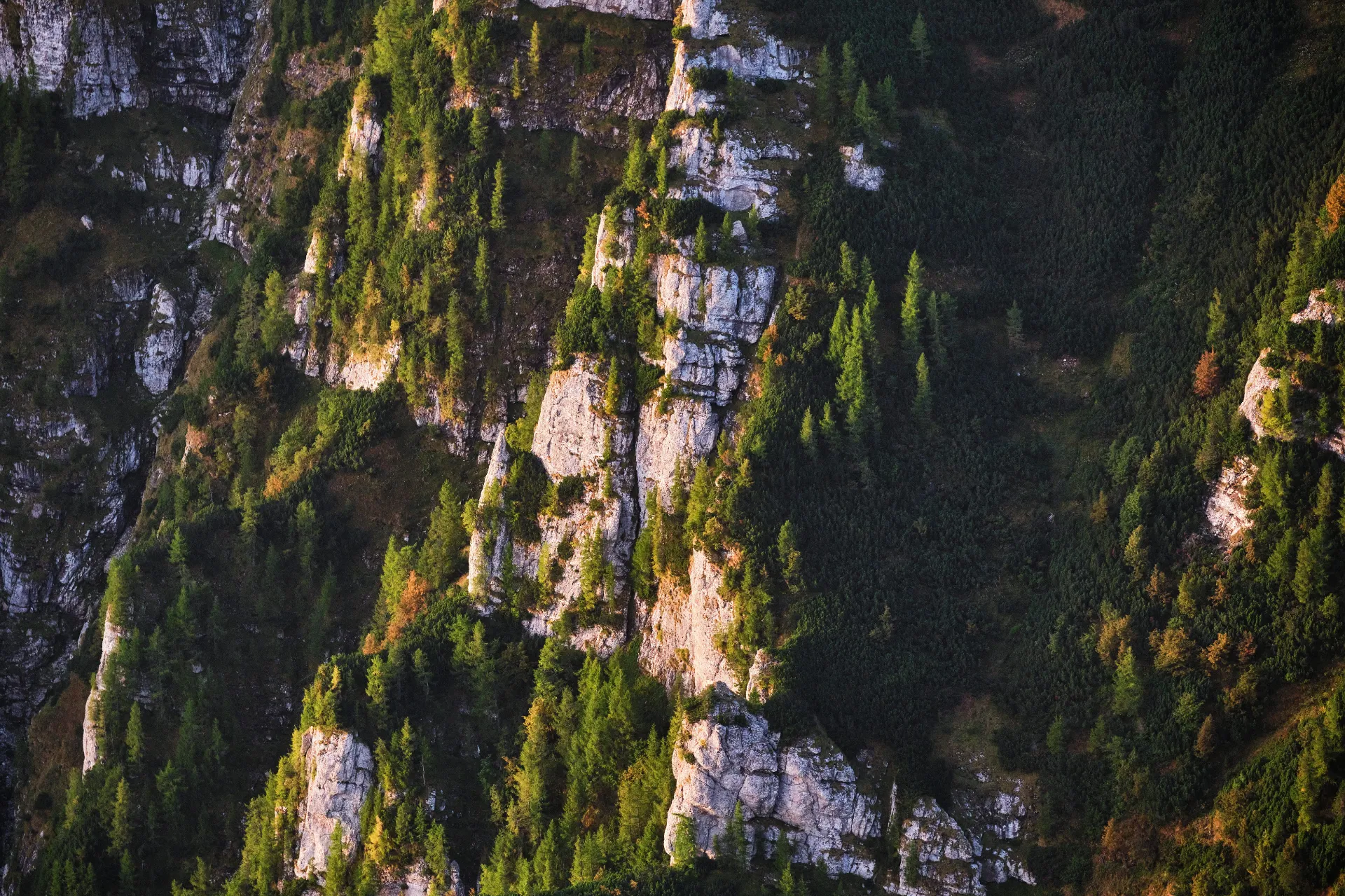 Bucegi Mountains - Wild Mountains of Romania 18 - Prahova Abrupt