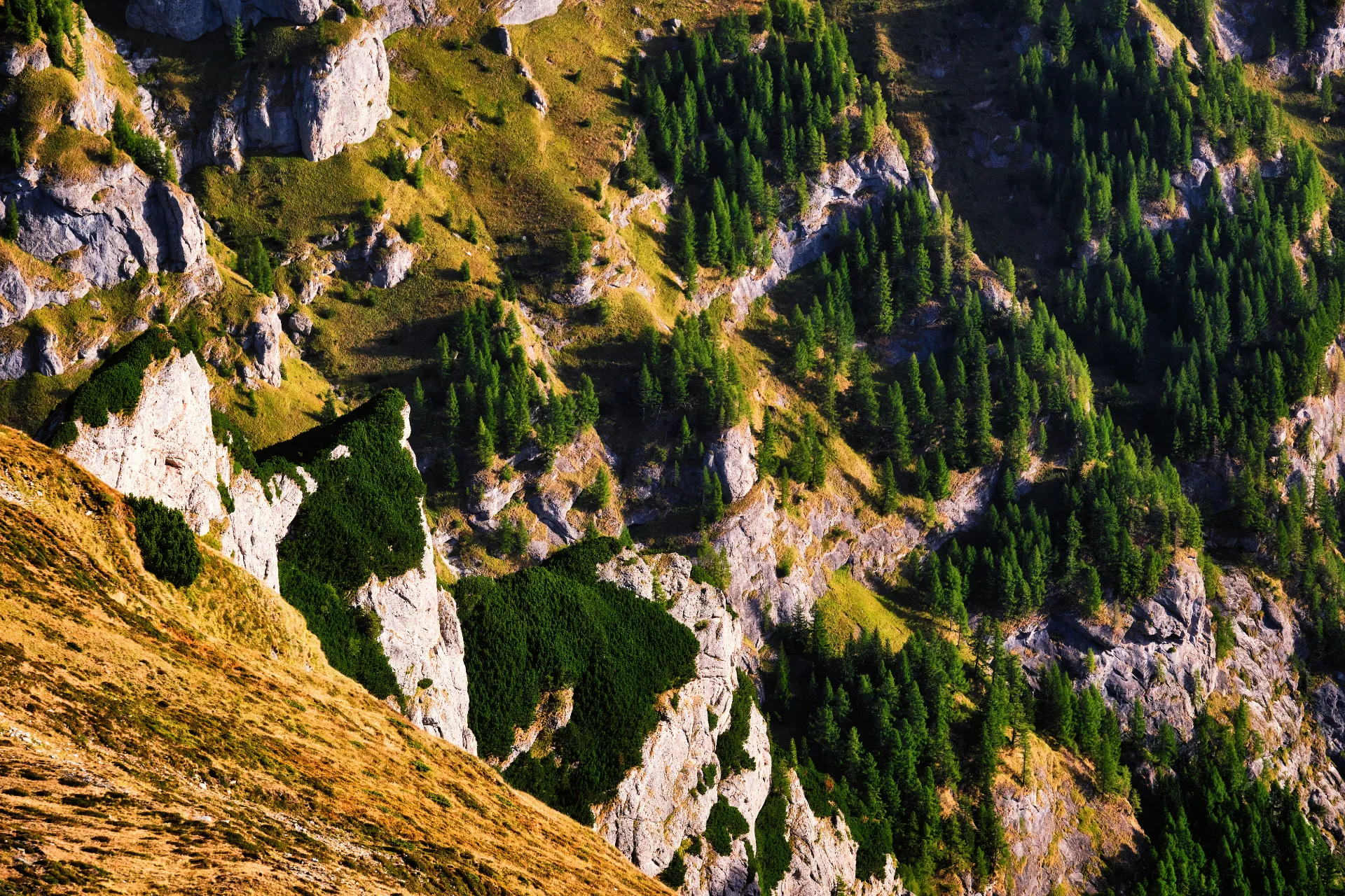 Bucegi Mountains - Wild Mountains of Romania 25 - Bucegi Plateau