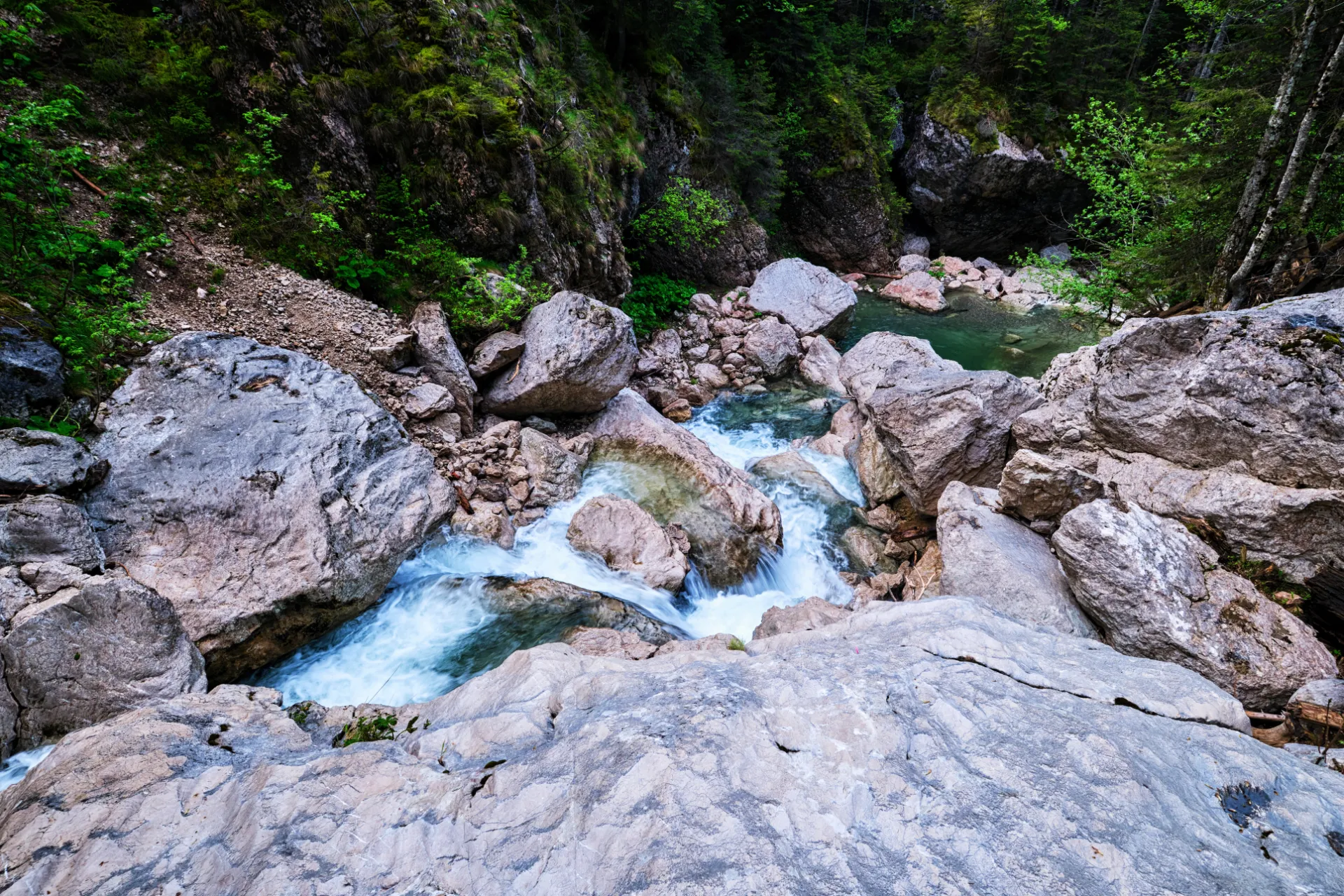 Bucegi Mountains - Wild Mountains of Romania 62 - Zănoaga Gorges