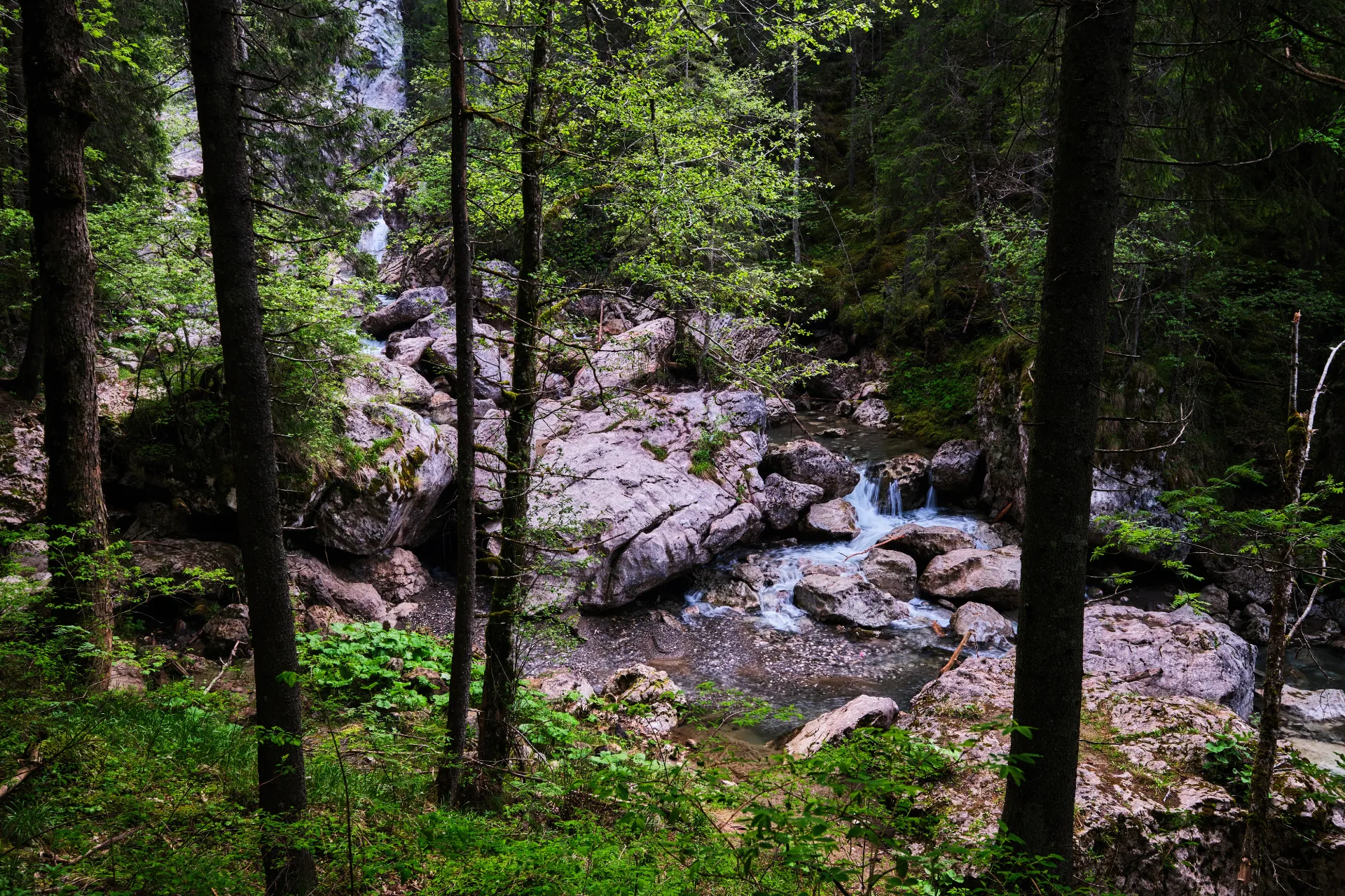 Bucegi Mountains - Wild Mountains of Romania 63 - Zănoaga Gorges