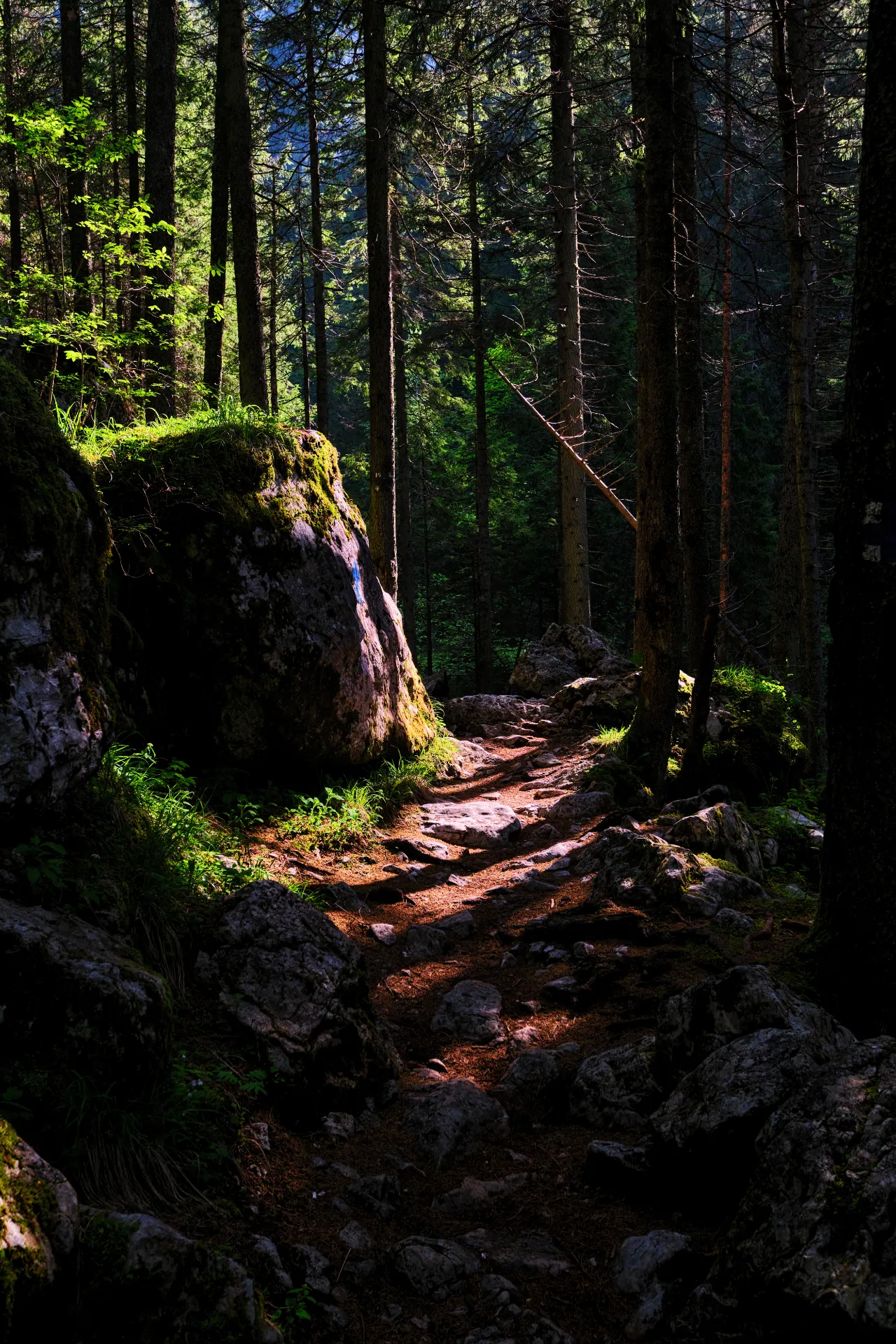 Bucegi Mountains - Wild Mountains of Romania 65 - Zănoaga Gorges
