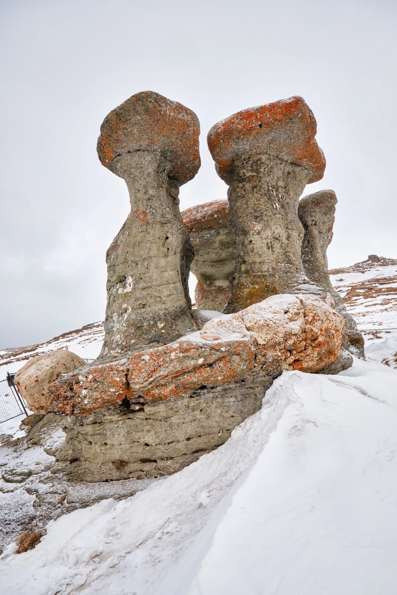 Bucegi Mountains - Wild Mountains of Romania 80 - The Old Ladies