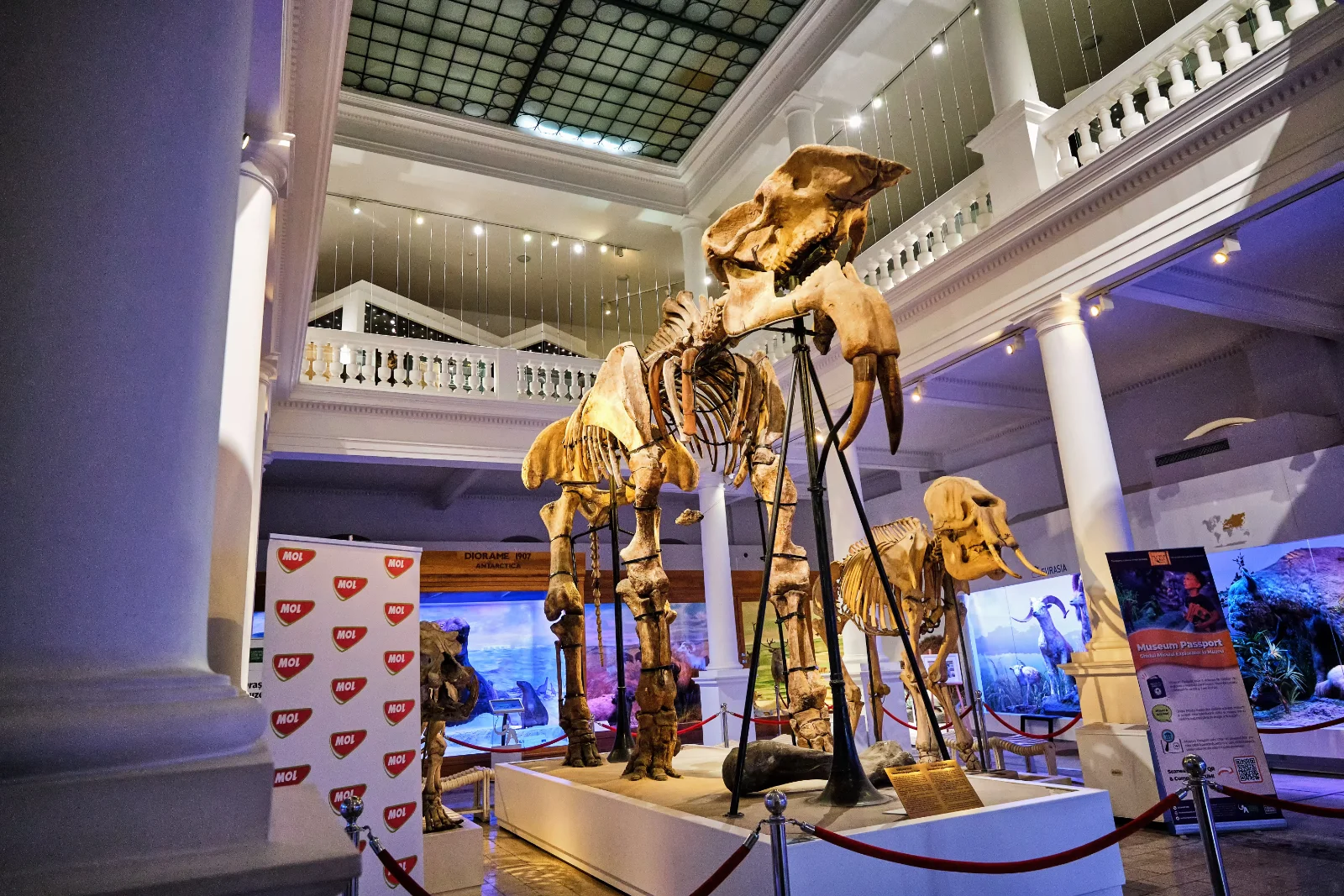 Other Sights and Monuments of Bucharest - Natural History Museum 1