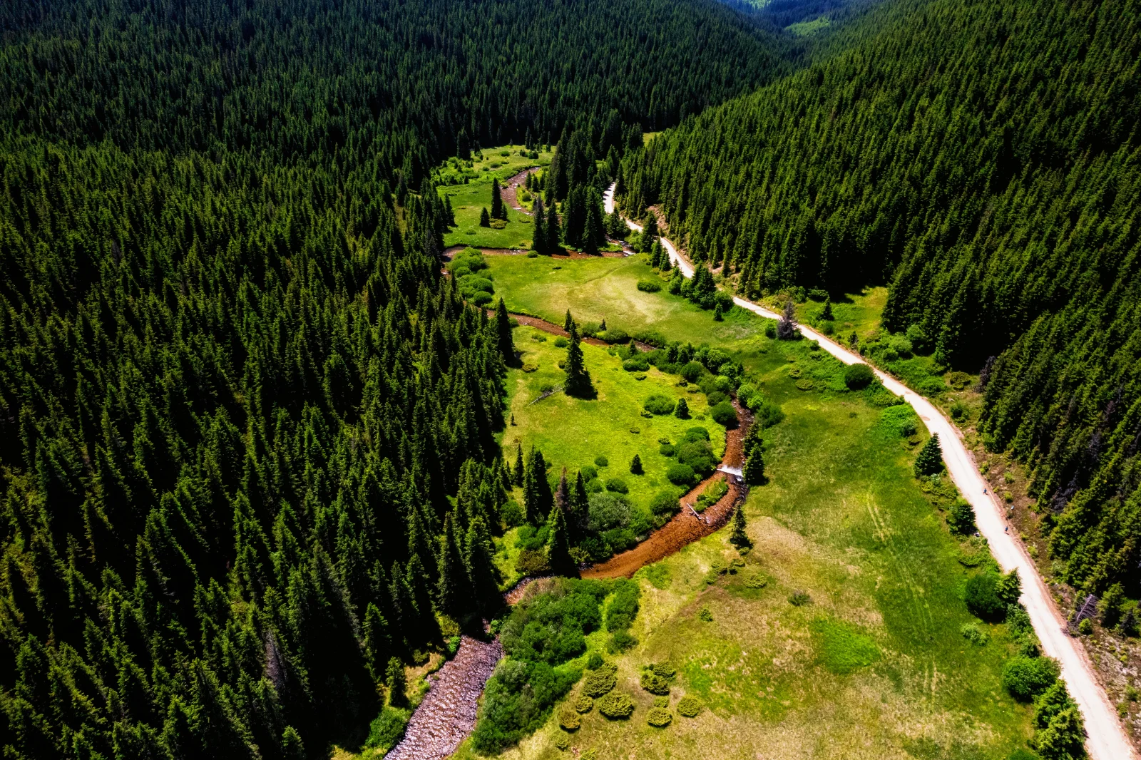 Transalpina Mountain Road in Romania - Cindrel Natural Park 1